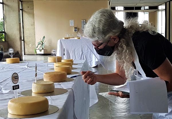 Os queijos foram avaliados em sabor, textura, aroma, apresentação, cor e consistência.